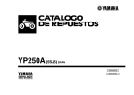YP250A(5SJ5)SPAIN - Yamaha Motor M&eacute;xico
