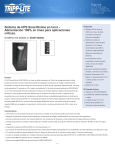 Sistema de UPS SmartOnline en torre - Alimentación 100