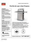 Parrilla de Lujo a Gas Propano