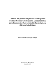 Control del picudo del pl&aacute;tano Cosmopolites sordidus