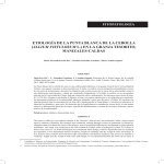 ETIOLOG&Iacute;A DE LA PUNTA BLANCA DE LA