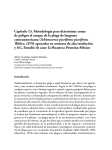 Capítulo 13. Metodología para determinar zonas de peligro al