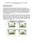 Entrenamiento de abdominales y parte baja de la espalda