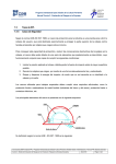 Cascos de Seguridad