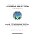 - Repositorio Institucional USAC