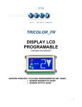 DISPLAY LCD PROGRAMABLE