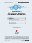 Sección B3 Difusión de gases en salmueras de formiato