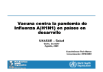 Vacuna contra la pandemia de Influenza A(H1N1) en países en