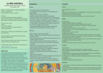 PDF Programa Introducción a la Microbiótica Molino 2013