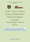 Curso Técnico de Aves Exóticas (Psitácidas) en