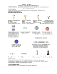 MANUAL TECNICO SISTEMA DE ANCLAJE LOCATOR