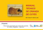 Manual técnico de crianza de cuyes