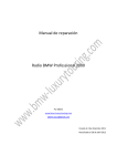 Manual de reparación Radio BMW Professional 2000