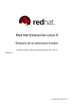 Red Hat Enterprise Linux 5 Sinopsis de la suite para Cluster