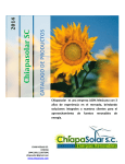 Chiapasolar SC. - Chiapas Solar SC