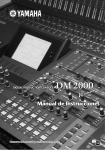 DM2000 V2 Manual de Instrucciones
