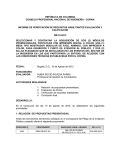 Informe de verificación