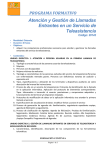 programa formativo