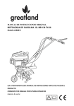 MANUAL DE INSTRUCCIONES ORIGINAL MOTOAZADA