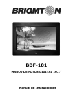 BDF-101 - elRectangulo