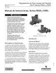 R600, HSRL - (Español) - Emerson Process Management