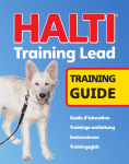 Training Lead