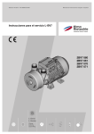 Instrucciones para el servicio L-BV7 2BV7 060