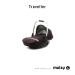 Traveller