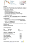 Introducción Información General Dimensiones máximas por envío