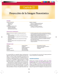 Proyecci&oacute;n de la Imagen Panor&aacute;mica