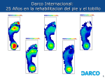 Darco Sales and Marketing Plan
