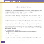 UNIDAD VII - Biblioteca Digital Zamorano