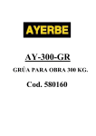 AY-300-GR