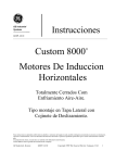 Custom 8000 Motores De Induccion Horizontales
