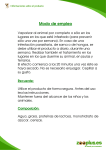 Manual de instrucciones de Exner Petguard
