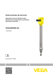 Instrucciones de servicio VEGASWING 66