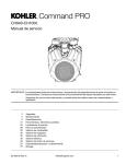 CH940-CH1000 Manual de servicio