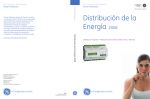 Distribución de la Energía 2008