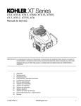 Manual de Servicio XT-6, XTR-6, XT6.5, XT650