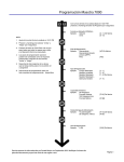 Programación Maestra 7000