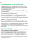Prueba y protecci&oacute;n de fuentes conmutadas