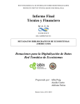 Informe Final Técnico y Financiero