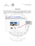 Manual de usuario para el llenado electr&oacute;nico del Informe