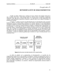 C a p э t u l o  V DETERMINACI  N DE REQUERIMIENTOS