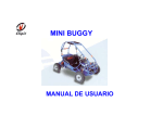 MINI BUGGY