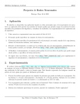 Proyecto 3: Redes Neuronales 1. Aplicaci&oacute;n 2. Experimentaci&oacute;n