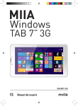 Windows - Miia Style
