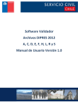 Software Validador Archivos DIPRES 2012 A, C, D, E