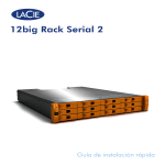 12big Serial 2 QIG