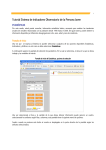 manual-sistema-indic.. - Consejo de la Persona Joven